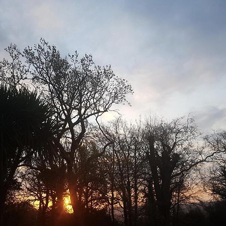 Cosy 2-Bed Property In Ashburton Dartmoor Newton Abbot Exteriör bild